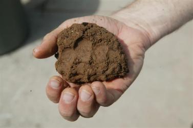 clay20soil20finger20impressions20small