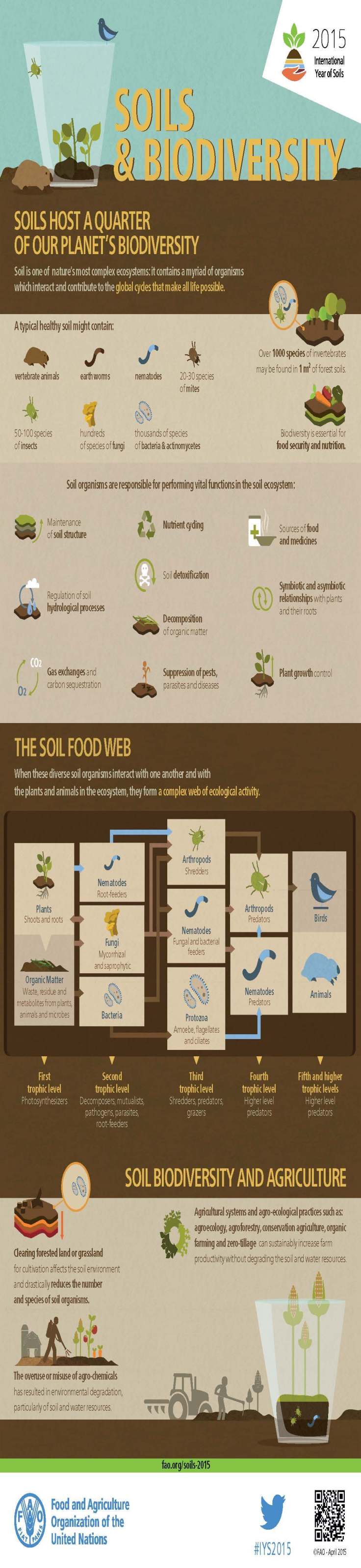 soils-and-biodiversity-infographic1