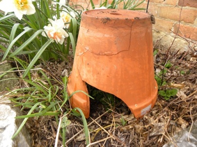 toad-house-clay-pot